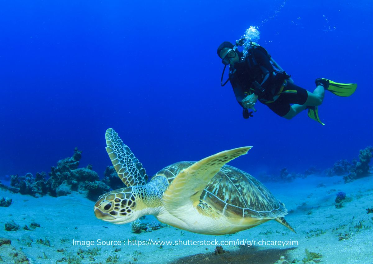 Mengintip Lokasi Scuba Diving di Filipina yang Patut Lo Coba!