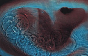 Pink Floyd - Meddle (1971)