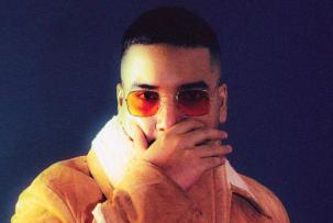 hukum rimba softanimal