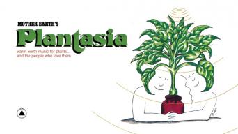 plantasia