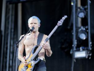 Flea