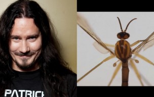 Nama Sang Kibordis Dijadikan Spesies Serangga