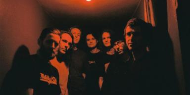 king gizzard kebakaran hutan australia